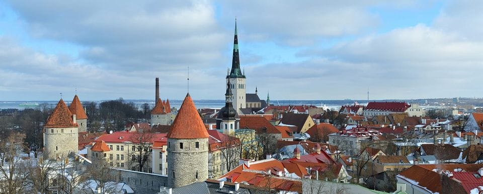 What a new Estonian company needs from its first website